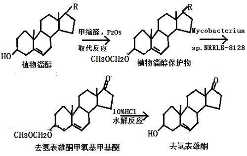 微生物发酵法生产 DHEA 反应流程图